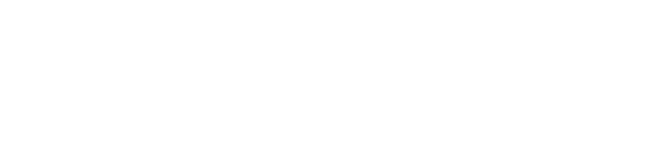 ZARDO sports management